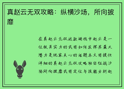 真赵云无双攻略：纵横沙场，所向披靡